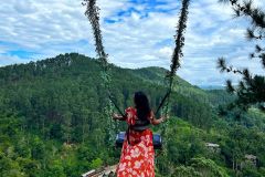 aa6f75664f18eee97566c78e25db2993