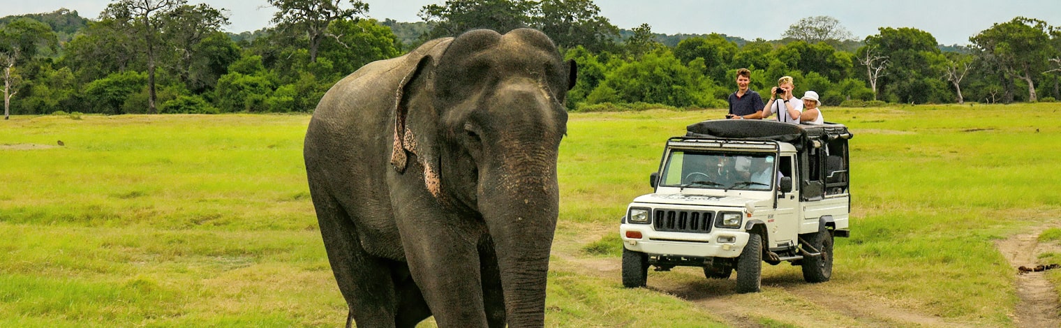 tour_packages_breadcrumb