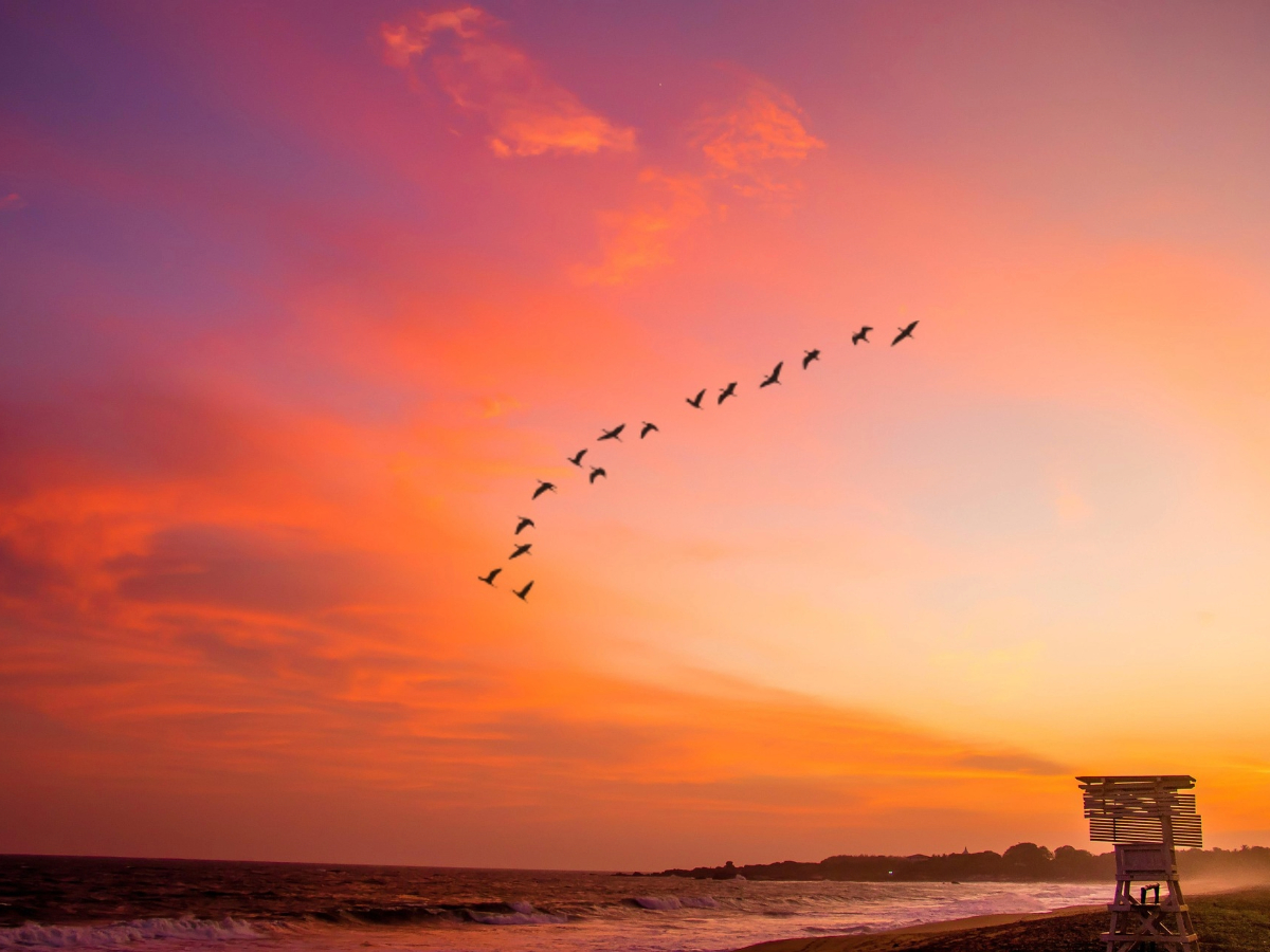 5-Day Sri Lankan Odyssey: Culture, Coastline & Captivating Landscapes from Kandy to Galle