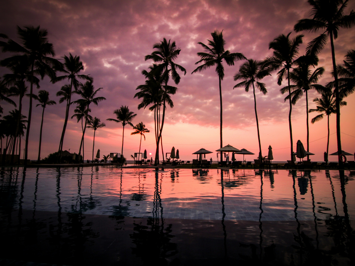 14-Day Sri Lanka Tour: From Beaches to Mountains (with Negombo as the starting point)